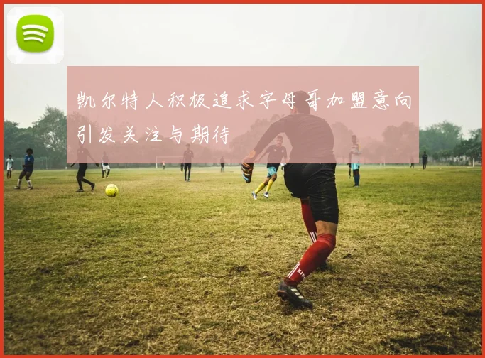凯尔特人积极追求字母哥加盟意向引发关注与期待