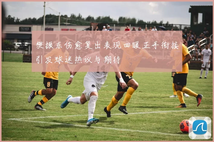 樊振东伤愈复出表现回暖正手衔接引发球迷热议与期待